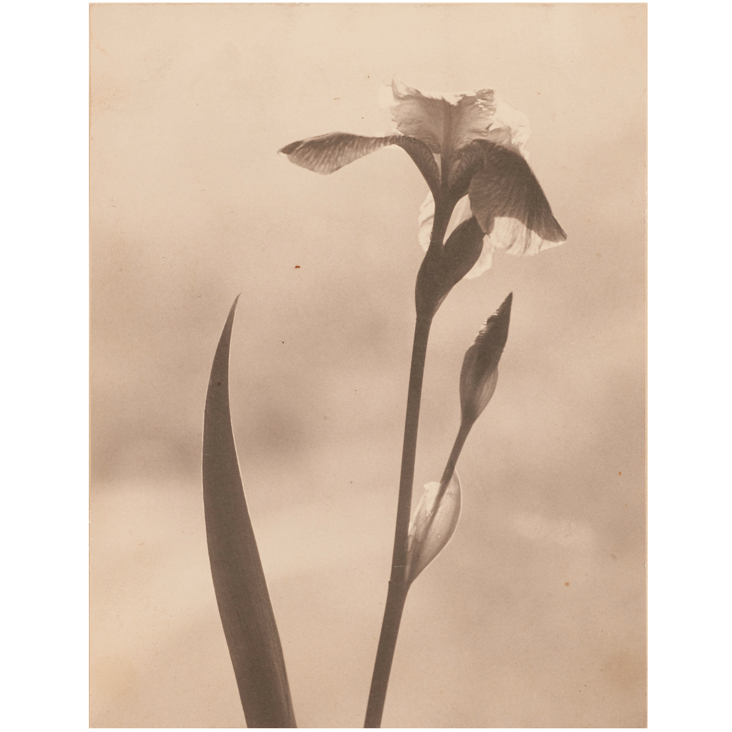 LAURA GILPIN, SIGNED PHOTOGRAPH,