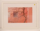 Lauren Crew 'Blank Stare' 2012