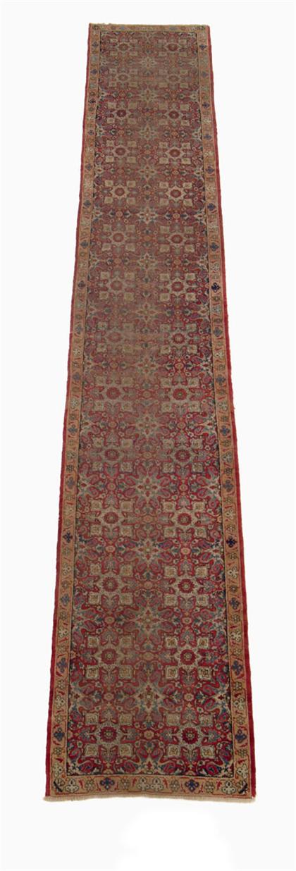 Laver Kerman runner    southeast