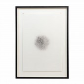 LEANNA REPASS, "DANDELION" GRA