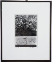 LEE FRIEDLANDER "THE AMERICAN
