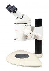Leica Stereo Microscope MZ75,