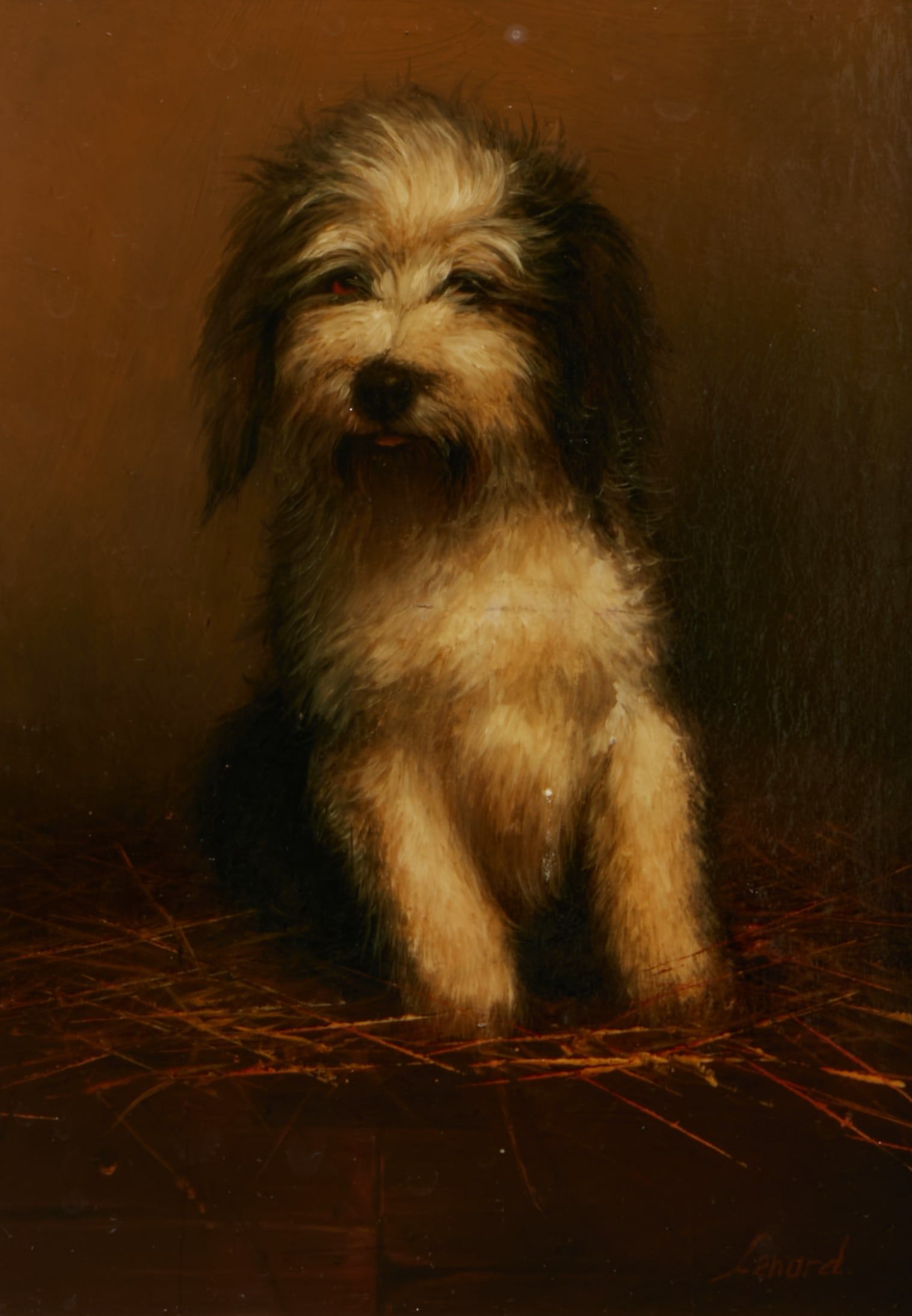 LENARD KOCSIS, TERRIER