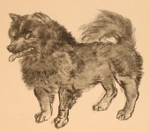LEONARD FOUJITA (1886-1968) PE