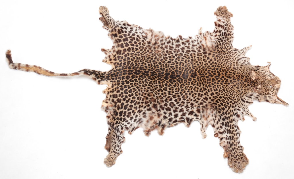 LEOPARD SKIN. Twentieth century.
