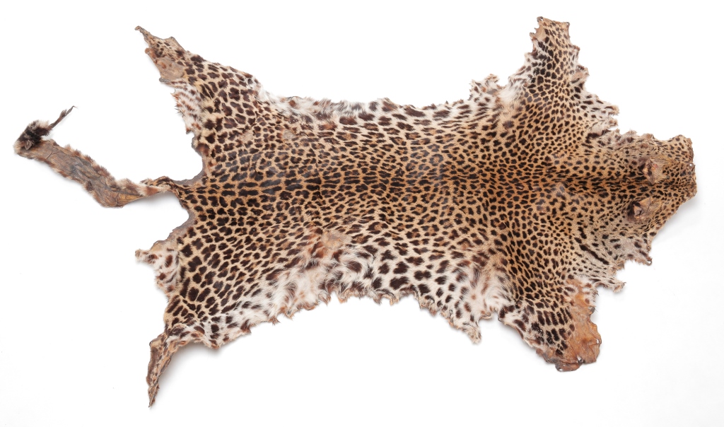 LEOPARD SKIN. Twentieth century.
