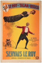 LEROY'S INCREDIBLY MARVELLOUS