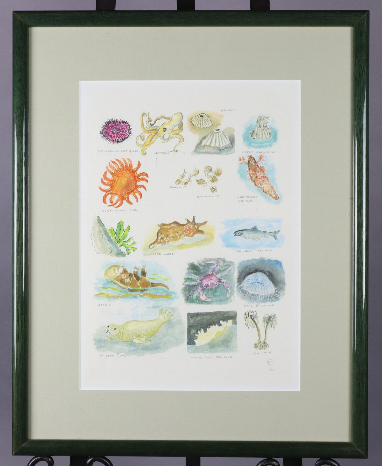 LESLEY LIDDLE SEALIFE, ORIGINAL