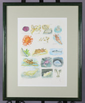LESLEY LIDDLE SEALIFE, ORIGINA