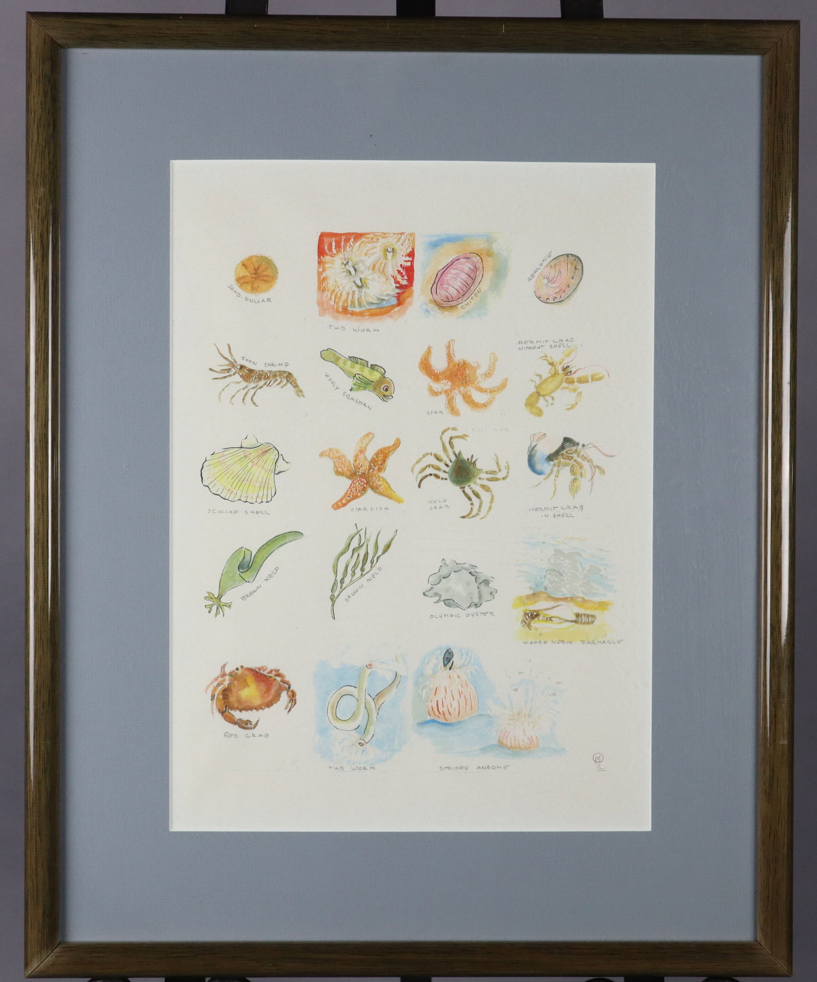 LESLEY LIDDLE SEALIFE, ORIGINAL