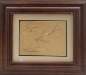 Leslie Cope Original Bird Draw