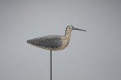 LESSER YELLOWLEGSSouth Shore,