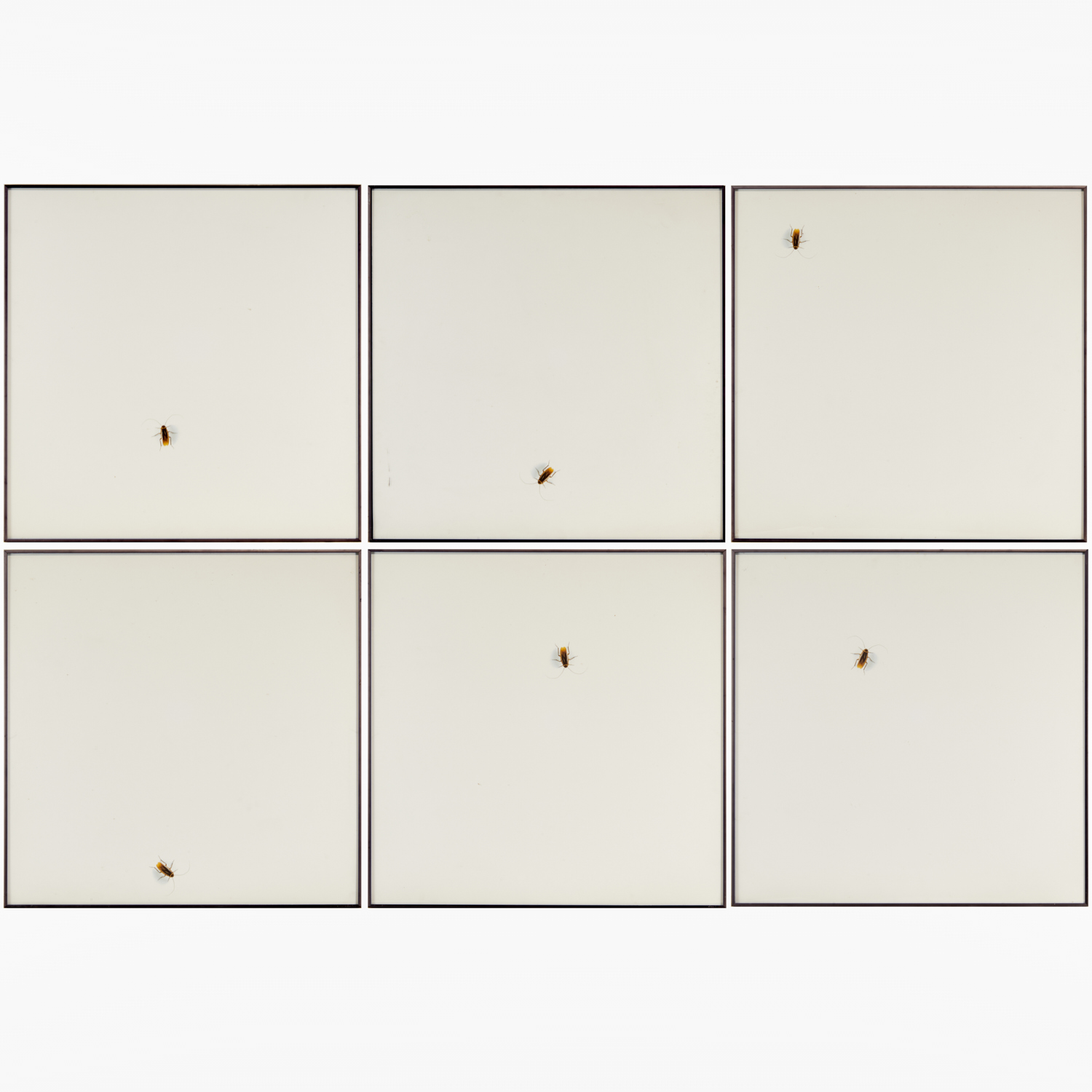 LEWIS STEIN, (6) LARGE FORMAT