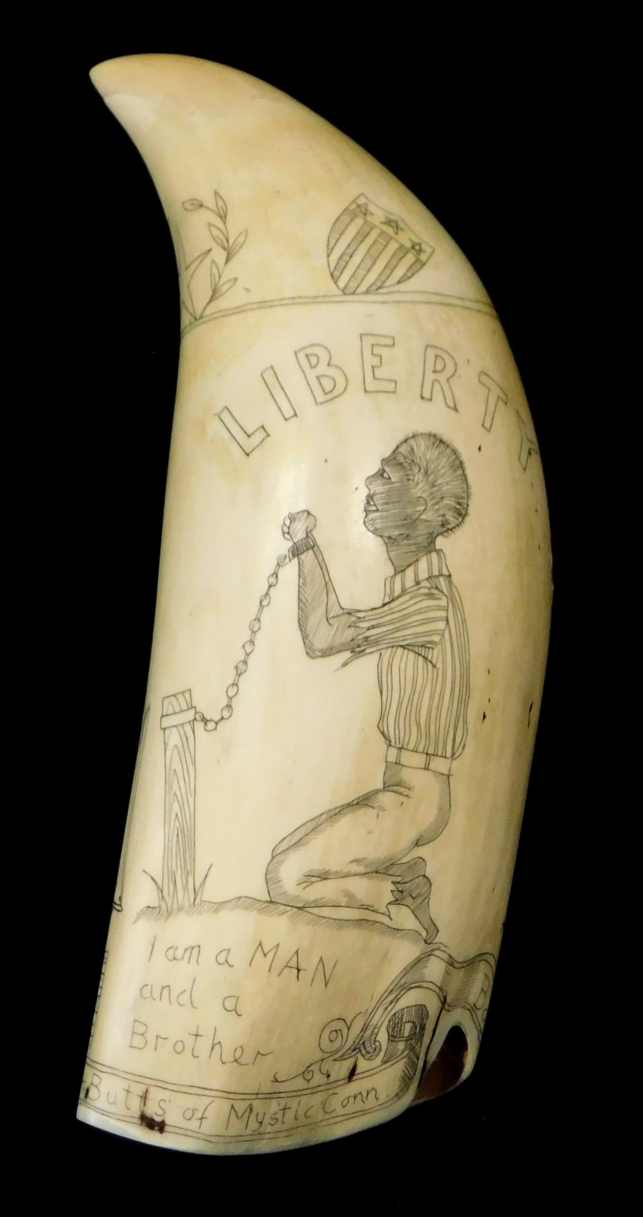 "LIBERTY" SCRIMSHAW ON WHALES