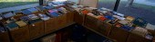 LIBRARY OF BOOKS AND CDS (25 B