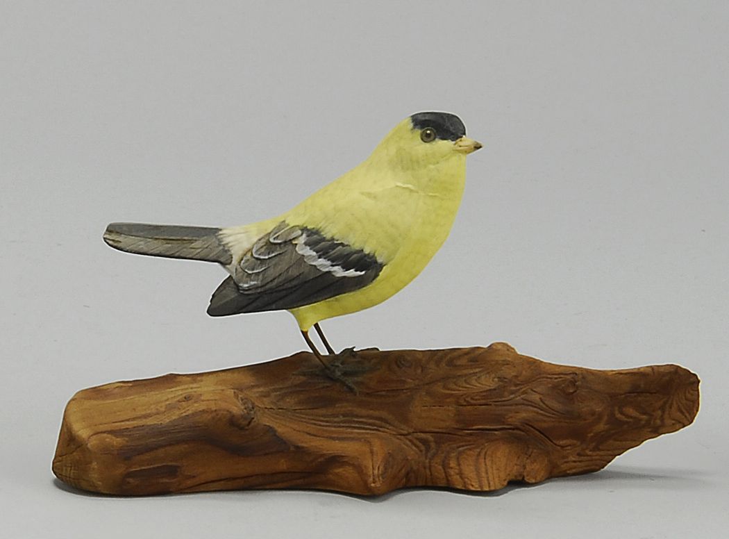 LIFE-SIZE GOLDFINCHBy E.F.