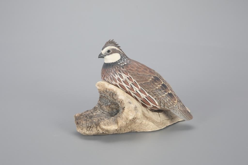 LIFE-SIZE RESTING QUAILEddie