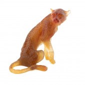 LIMITED EDITION DAUM PATE DE V