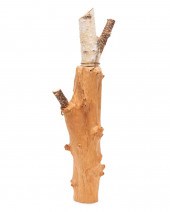 LIN LISBERGER, CARVED BIRCH WO