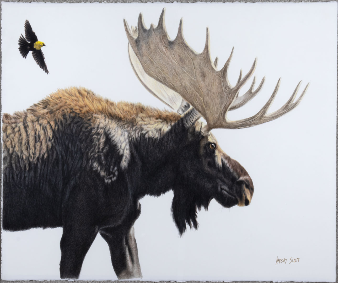 LINDSAY SCOTT (1955- ), FROM OUT IN