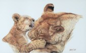 LINDSAY SCOTT (1955- ), TENDER