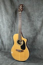 LINE 6 VARIAX ACOUSTIC GUITARL