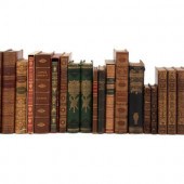 [LITERATURE]. A group of 16 wo