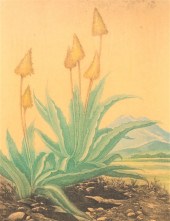 Lithograph Leon Pescheret (Ame