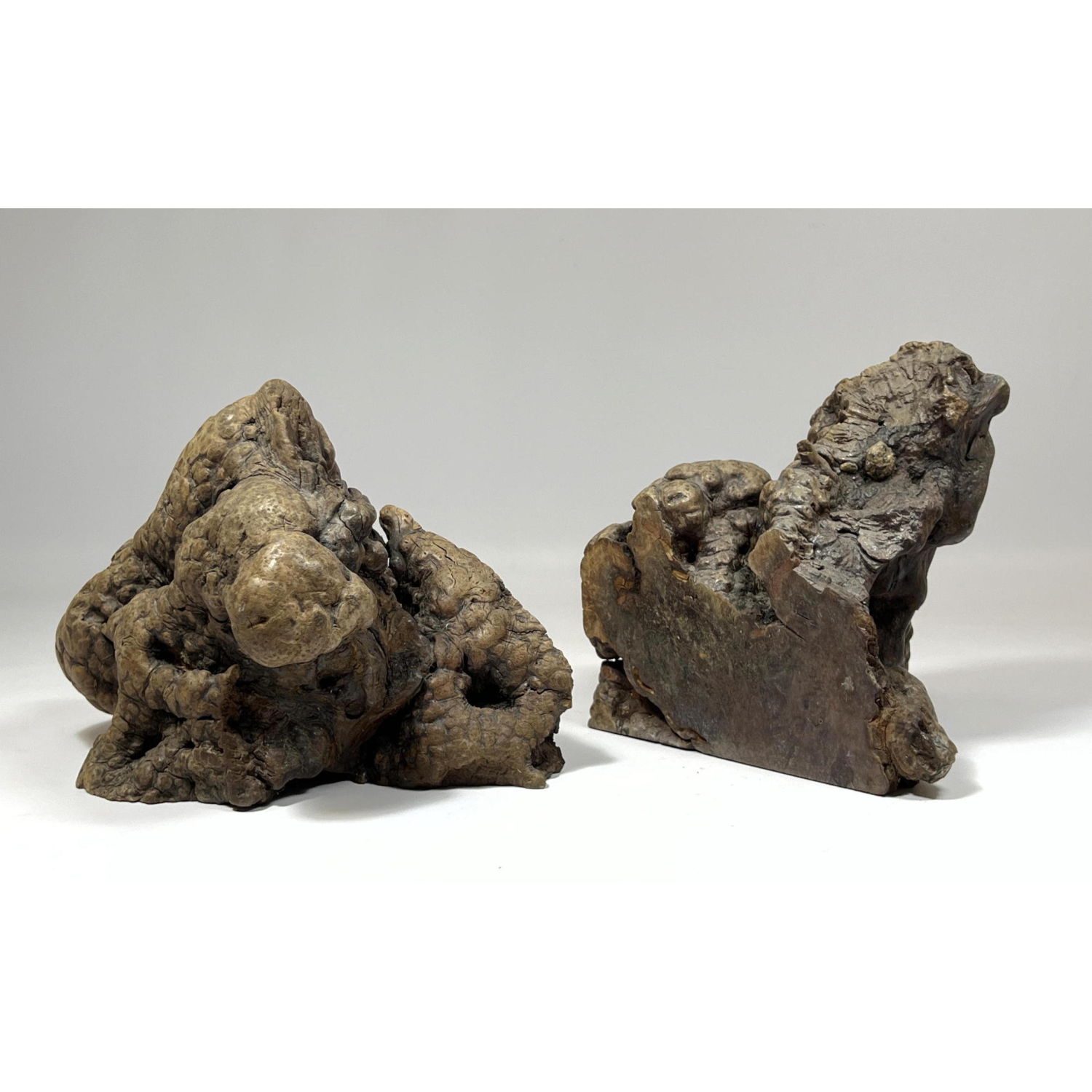 LITTLE APPLE Organic Wood Burl
