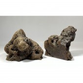 LITTLE APPLE Organic Wood Burl