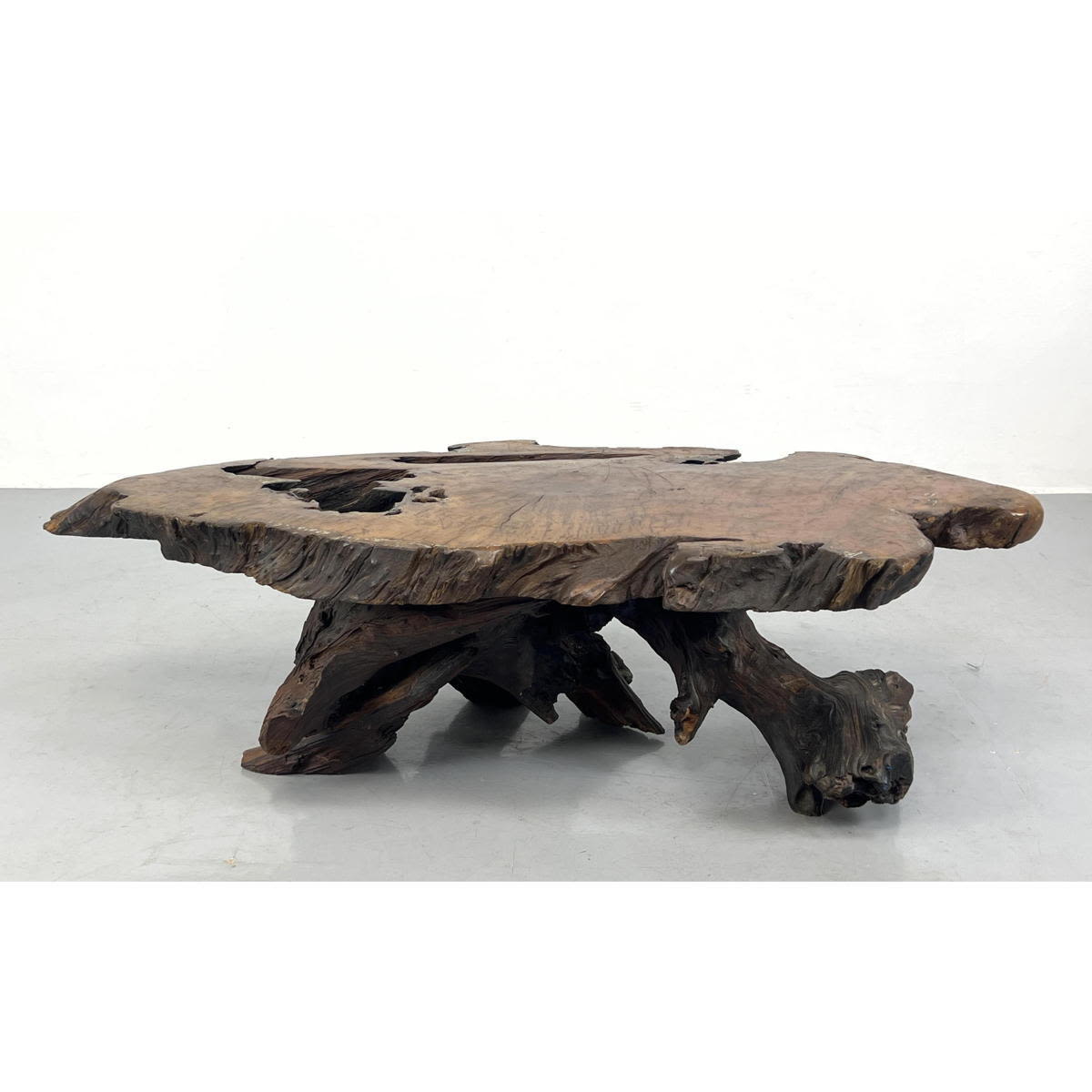 Live Edge Natural Wood Tree Slab
