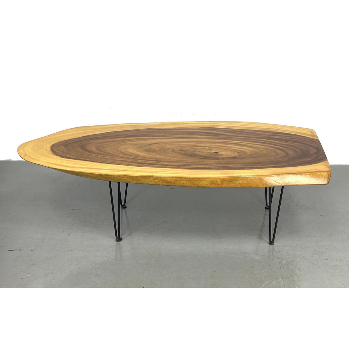 Live Edge Wood Tree Slab Coffee