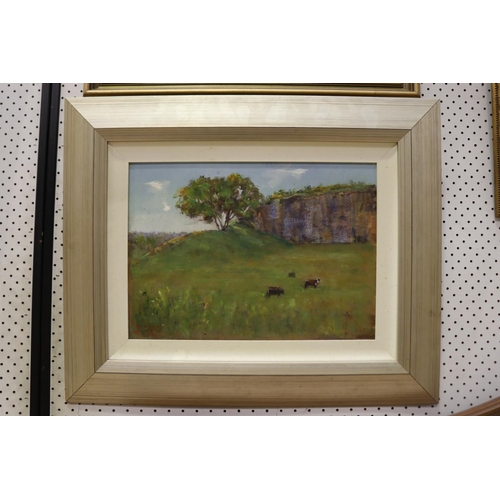 Liz Isaacs, Untitled, landscape