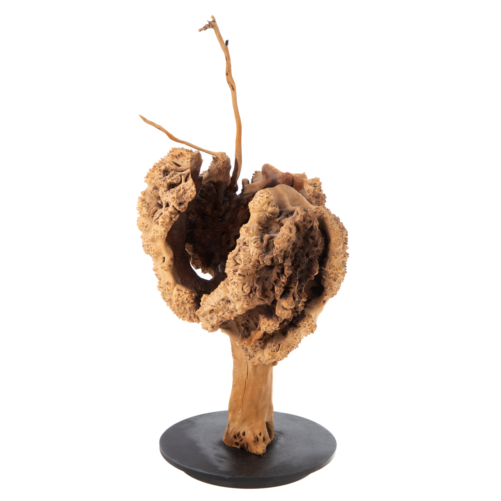 LIZ LESCAULT. "BITTERSWEET VESSEL,"