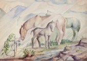 LLOYD MOYLAN (NEW MEXICO/COLOR