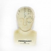 L.N. FOWLER LARGE PHRENOLOGY B