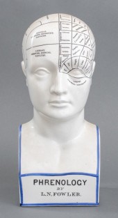 L.N. FOWLER PHRENOLOGY BUST, C