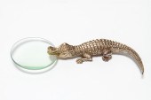 L'OBJET CROCODILE GILT METAL M