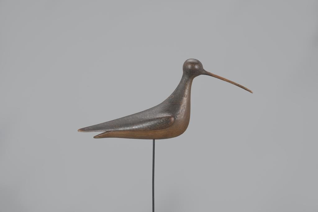 LONG-BILLED CURLEWMark S. McNair