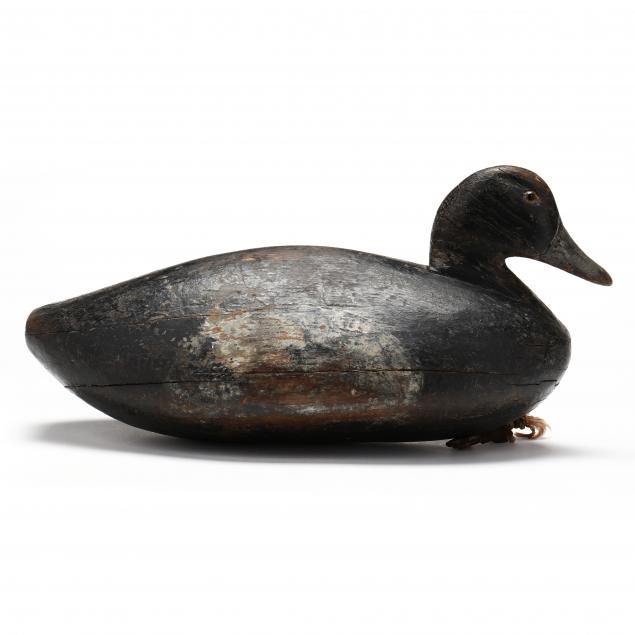 LONG ISLAND BLUEBILL, DIAMOND BRAND