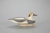 LONG-TAILED DRAKECapt. Abe Smi