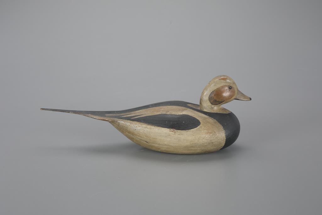 LONG-TAILED DRAKEMark S. McNair (b.