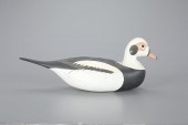 LONG-TAILED DUCKHarry Vinuckso