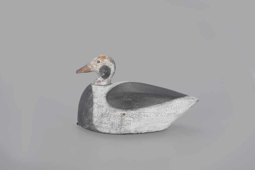 LONG-TAILED DUCKJoseph W. Lincoln