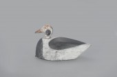 LONG-TAILED DUCKJoseph W. Linc