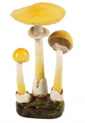 LORENZEN 'AMANITA CITRINA' MUS