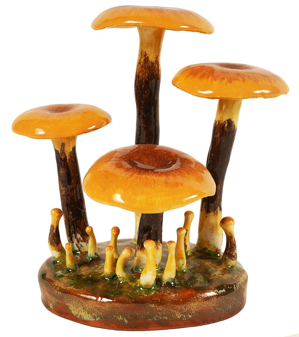 LORENZEN 'COLLYBIA VELUTIPES'