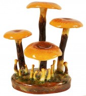 LORENZEN 'COLLYBIA VELUTIPES'