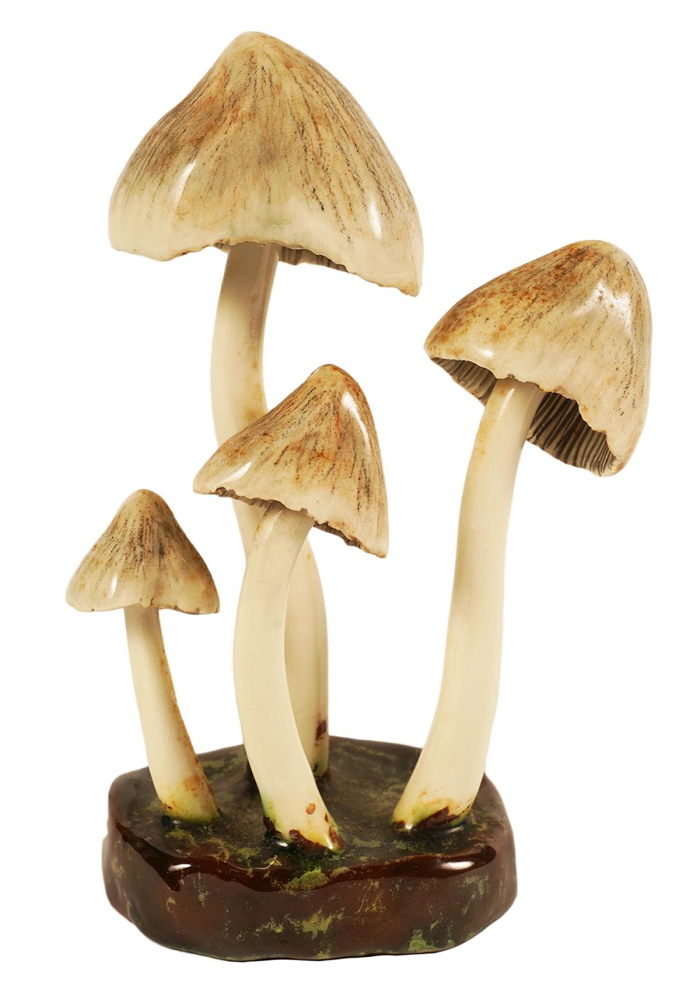 LORENZEN 'COPRINUS INSIGNIS'