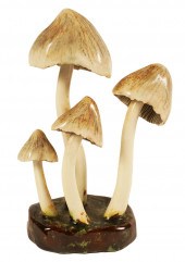 LORENZEN 'COPRINUS INSIGNIS' M